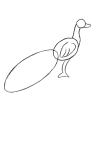 How to draw Peacock - Step 2