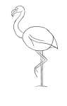 How to draw  Stork - Step 2