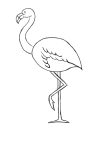 How to draw  Stork - Step 3