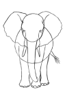 How to draw Elephents - Step 3