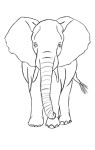 How to draw Elephents - Step 4