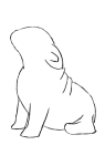 How to draw BullDog easy - Step 2