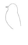 How to draw Bird - Step 1