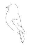 How to draw Bird - Step 2