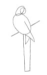 How to draw  Raven - Step 1