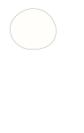 How to draw  Cat - Step 1