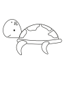 How to draw  Turtle - Step 3