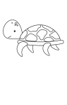 How to draw  Turtle - Step 4