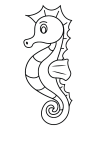 how to draw  Sea Horse - Step 5