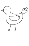How to draw  Chicken - Step 3