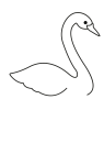 How to draw  Swan - Step 3