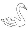 How to draw  Swan - Step 4