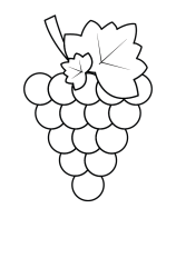 How to draw  Grape fruit - Step 2