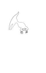 How to draw  Pterosaurs - Step 1