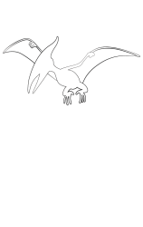 How to draw  Pterosaurs - Step 2