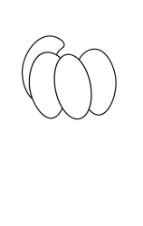 How to draw  Pumpkin fruit - Step 2