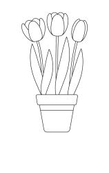 How to draw  Flower pot - Step 6