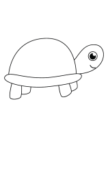 How to draw  Turtle - Step 3