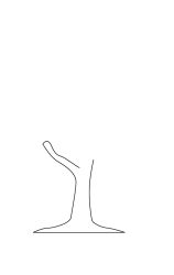 How to draw  Tree - Step 2
