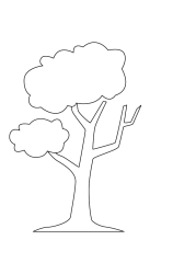 How to draw  Tree - Step 5