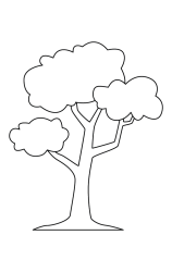 How to draw  Tree - Step 6