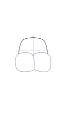 How to draw  Walrus - Step 2