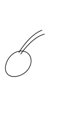 How to draw  Grasshopper - Step 1