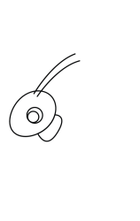 How to draw  Grasshopper - Step 2