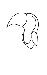 How to draw  Toucan - Step 2