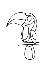 How to draw  Toucan - Step 4