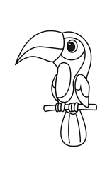 How to draw  Toucan - Step 5