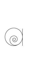 How to draw  Snail cute - Step 2