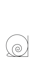 How to draw  Snail cute - Step 3