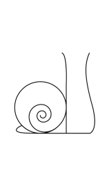 How to draw  Snail cute - Step 4