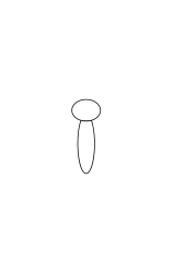 How to draw  Butterfly - Step 2