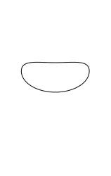 How to draw  Frog - Step 1