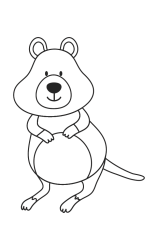 How to draw  Quokka - Step 5