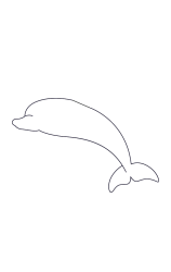 How do you draw a dolphin step by step - Step 1