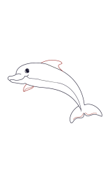 How do you draw a dolphin step by step - Step 3