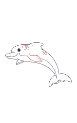 How do you draw a dolphin step by step - Step 4