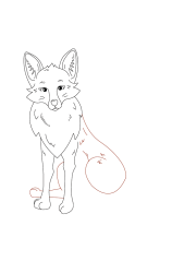 How do you draw a fox step by step - Step 5