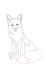 How do you draw a fox step by step - Step 6