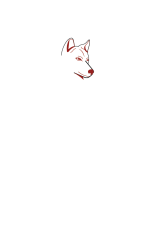 How do you draw a wolf step by step - Step 2