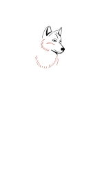 How do you draw a wolf step by step - Step 3