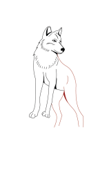 How do you draw a wolf step by step - Step 5