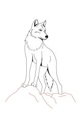 How do you draw a wolf step by step - Step 7