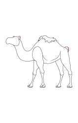 How do you draw a Camel: A Step-by-Step Tutorial for Kids - Step 6