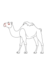 How do you draw a Camel: A Step-by-Step Tutorial for Kids - Step 7