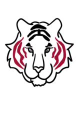 How to draw a tiger step by step - Step 4