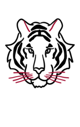 How to draw a tiger step by step - Step 5